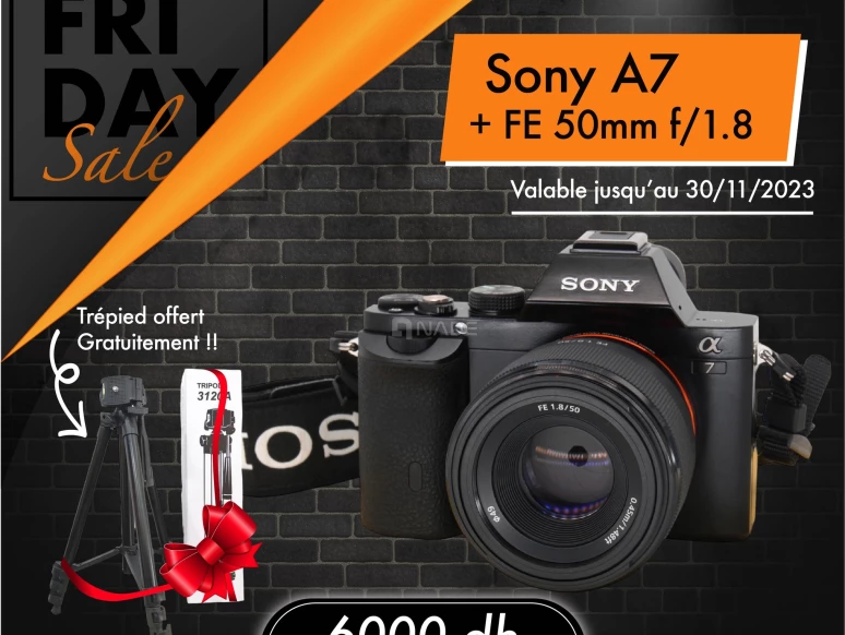 Sony A7 + FE 50mm f/1.8 à Casablanca-01244-1