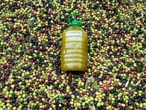 L'huile d'olive la plus fine à Casablanca-01805-1