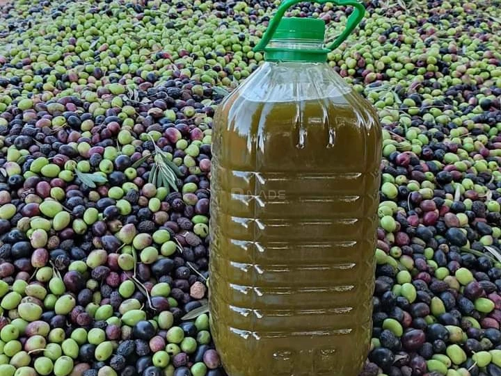 L'huile d'olive la plus fine à Casablanca-01805-4