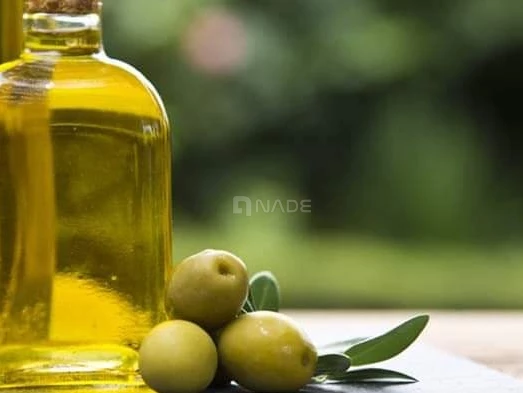 L'huile d'olive la plus fine à Casablanca-01805-5