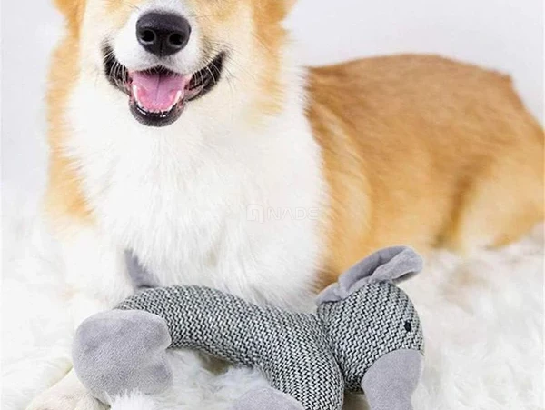 Peluche à Macher pour Chien Chien Molaire-04184-1